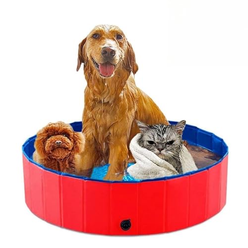 Kleiner Haustier-Swimmingpool – Ideal for kleinere Hunde und Welpen, um den Sommer sicher zu genießen(Red,120 * 30cm) von Shamdrea