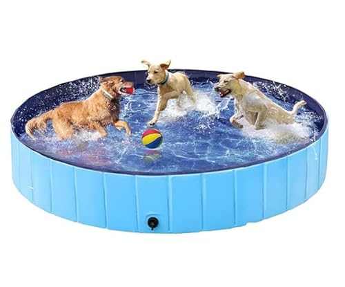 Shamdrea Faltbarer Haustierpool for große Hunde – langlebig, leicht zu verstauen und ideal for jeden Platz(Blue,120 * 30cm) von Shamdrea