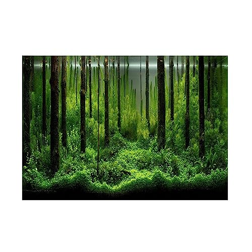 Shanrya Aquarium-Dekorationsposter, Selbstklebendes Papier für Wald-Unterwasser-Aquarium-Dekoration, 1 Stück Aquarium-Poster, für Aquarien zu Hause (61 * 30cm) von Shanrya