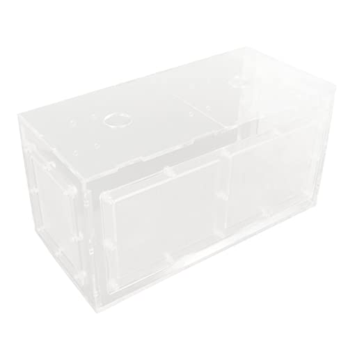 Shanrya Fischaufzuchtbox, Inkubator für Aquarien Hakenlänge Verstellbar Maschenseite Transparent für Kleine Aquarienfische (23 * 11 * 12 cm) von Shanrya