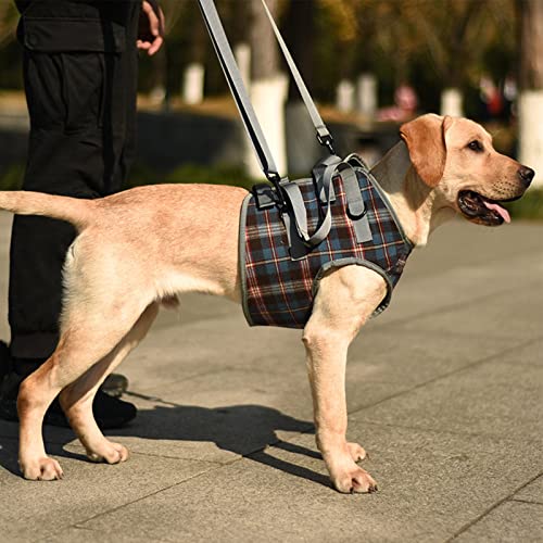 Shanrya Hunde-Hebegeschirr, Hunde-Hilfsgurt, Polyester, Professionell, Verstellbar, für Behinderte für den Außenbereich (XL (30–40 kg / 66,1–88,2 lb empfohlen)) von Shanrya