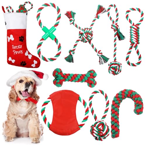 Shappy 10 Stück Weihnachts-Hundespielzeug mit Hund Weihnachtsstrumpf Entzückendes Hundegeschenk Robustes Seilspielzeug Hund Hund Seil Kauspielzeug für Welpen Kleine Mittlere Hunde Training Zahnen von Shappy