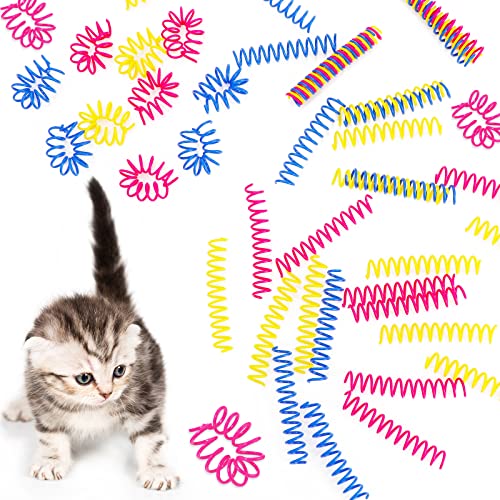 60 Pieces Thin Colorful Springs Cat Spiral Springs Interactive Cat Toys Kitten Toys Cat Stuff Plastic Cat Springs Toys, for Swatting Biting Hunting Chasing to Keep Fit Active, Blue Yellow Pink, 3 Inch von SharpCost