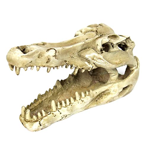 Sharplace n Höhle Reptilien Terrarium Zubehör Für die,18,8x8x6cm von Sharplace