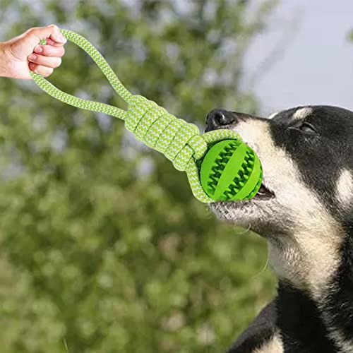 Sharplace 3X Hundespielzeug für Den Außenbereich Robuster Kauspaß für Kleine Und Mittelgroße Hunde von Sharplace