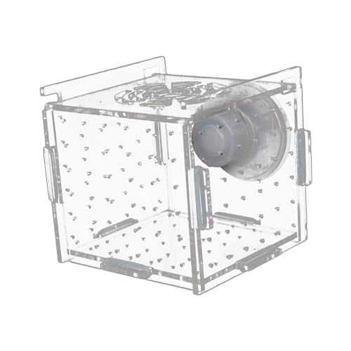 Sharplace Fischzuchtbox, Aquariumzubehör, transparente Fischisolationszuchtbox, Brutkasten für Aggressive Fische, 6cmx6cmx6cm von Sharplace