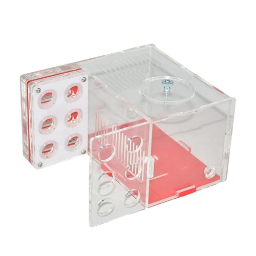 Sharplace Housing Nest Farm Kompakter transparenter -Käfig Acryl Farm für Wohnzimmer Haus Kinderzimmer Schlafzimmer, 1.5 cm Sharplace Housing Nest Farm Kompakter transparenter -Käfig Acryl Farm für Wohnzimmer Haus Kinderzimmer Schlafzimmer, 1.5 cm von Sharplace