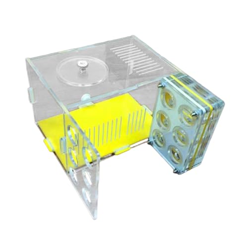 Sharplace Housing Nest Farm Kompakter transparenter -Käfig Acryl Farm für Wohnzimmer Haus Kinderzimmer Schlafzimmer, 1.8 cm Sharplace Housing Nest Farm Kompakter transparenter -Käfig Acryl Farm für Wohnzimmer Haus Kinderzimmer Schlafzimmer, 1.8 cm von Sharplace