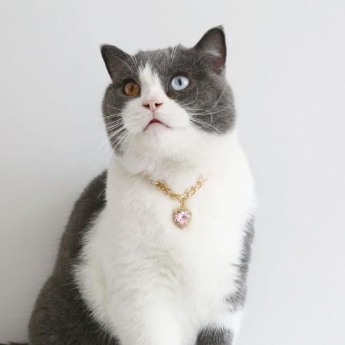 Sharplace Luxuriöses Katzenhalsband in zartem Rosa von Sharplace