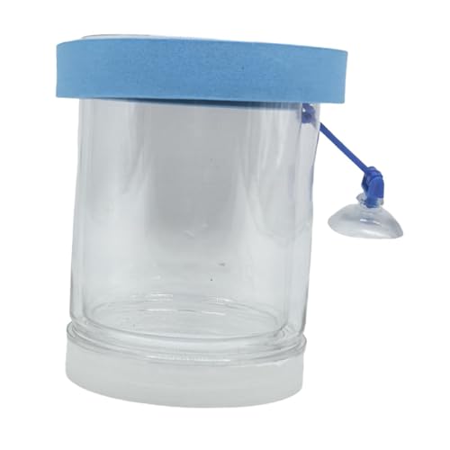 Sharplace Schwimmende Fischisolation Box Aquarium Brüterei Zubehör Trennung Zuchtbox Aquarium Züchter Feeder für Betta Babyfische, Klein Blau von Sharplace