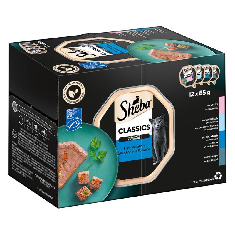 9 + 3 gratis! 12 x 85 g Sheba - Multipack Varietäten Schälchen: Classics in Pastete von Sheba