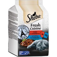 Sheba Multipack Fresh Cuisine 36x50g Taste of Paris von Sheba