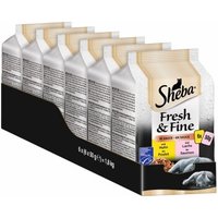 Sheba Multipack Fresh & Fine in Sauce 36x50g Huhn & Lachs von Sheba