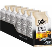 Sheba Multipack Fresh & Fine in Sauce 36x50g Huhn & Truthahn von Sheba