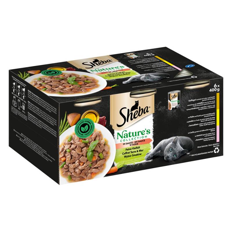 Multipack Sheba Nature's Collection 12 x 400 g - Feine Vielfalt in Sauce von Sheba