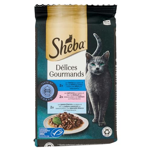 SHE DDJ Del Gourmands Taste of Tokyo 6x50g von Sheba