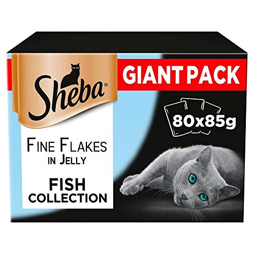 Sheba Delicacy Flavours in Jelly - Nassfutter für Katzen - 80 x 85 g von Sheba