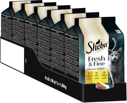 SHEBA Portionsbeutel Katzennassfutter Multipack Fresh & Fine in Gelee mit Truthahn und Huhn, 6x6x50g - Hochwertiges Katzenfutter in Gelee mit Truthahn und Huhn von Sheba