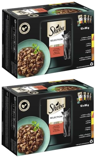 SHEBA Schale Multipack - Verschiedene Geschmacksrichtungen (2x12x85g, Selection in Sauce Herzhafte Komposition) von Sheba