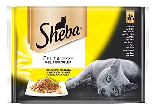 Sheba Aves Gelatina 4 x 85 g (13 Uds) von Sheba