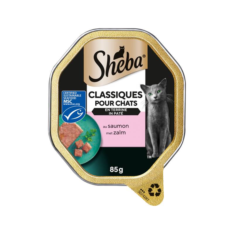 Sheba Classics Paté - Lachs - 22 x 85 g von Sheba