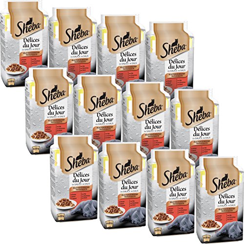 Sheba Délices du Jour Set mit 12 x 6 Beuteln Frische Fleisch in Sauce für Katzen, 50 g von Sheba