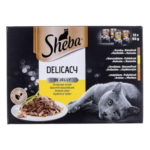 Sheba Delikatesse Katzennassfutter in Gelee, 12x85g Katzenfutter nass, Geflügel Variation mit Ente, Huhn, Geflügel und Truthahn von Sheba