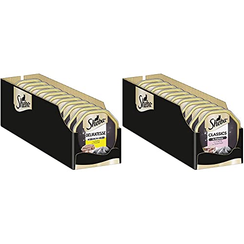 Sheba Delikatesse in Gelee – Hochwertiges Katzen Nassfutter – Geschnetzeltes mit Huhn – 22 x 85g & Classics in Pastete – Katzenfutter als Pasteten mit feinen Stückchen – Lachs – 22 x 85g von Sheba