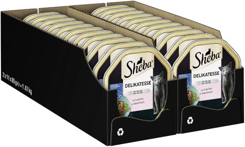 SHEBA Schale Nassfutter für Katzen Delikatesse in Gelee mit Lachs 2 x 11 x 85g von Sheba