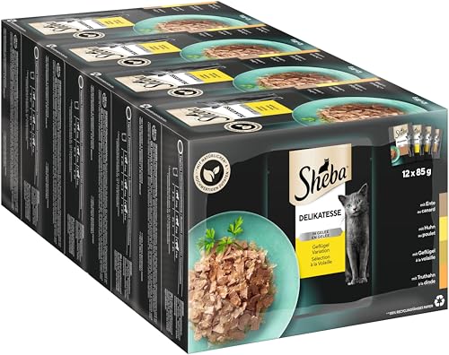 Sheba Katzennassfutter Delikatesse in Gelee, 48 Portionsbeutel, 12x85g (4er Pack) – Katzenfutter nass, Geflügel Variation mit Ente, Huhn, Geflügel und Truthahn von Sheba