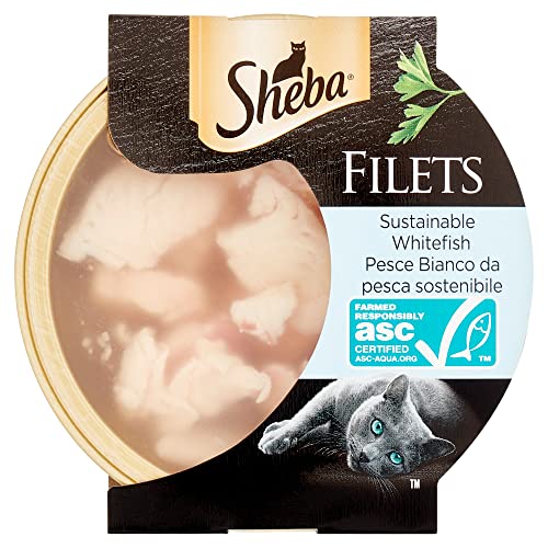 Sheba Filets Nassfutter für Katzen mit weißem Fisch, 60 g von Sheba