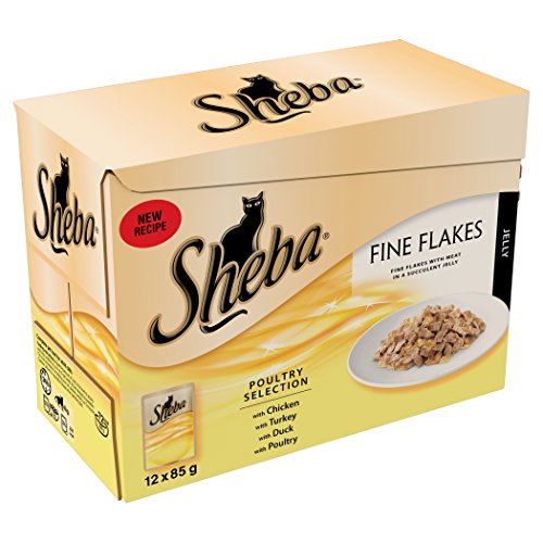 Sheba Fine Flakes in Jelly – Geflügel-Kollektion – Nassfutter für ausgewachsene Katzen – 48 x 85 g Packung von Sheba