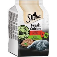 Sheba Multipack Fresh Cuisine 36x50g Taste of Rome von Sheba