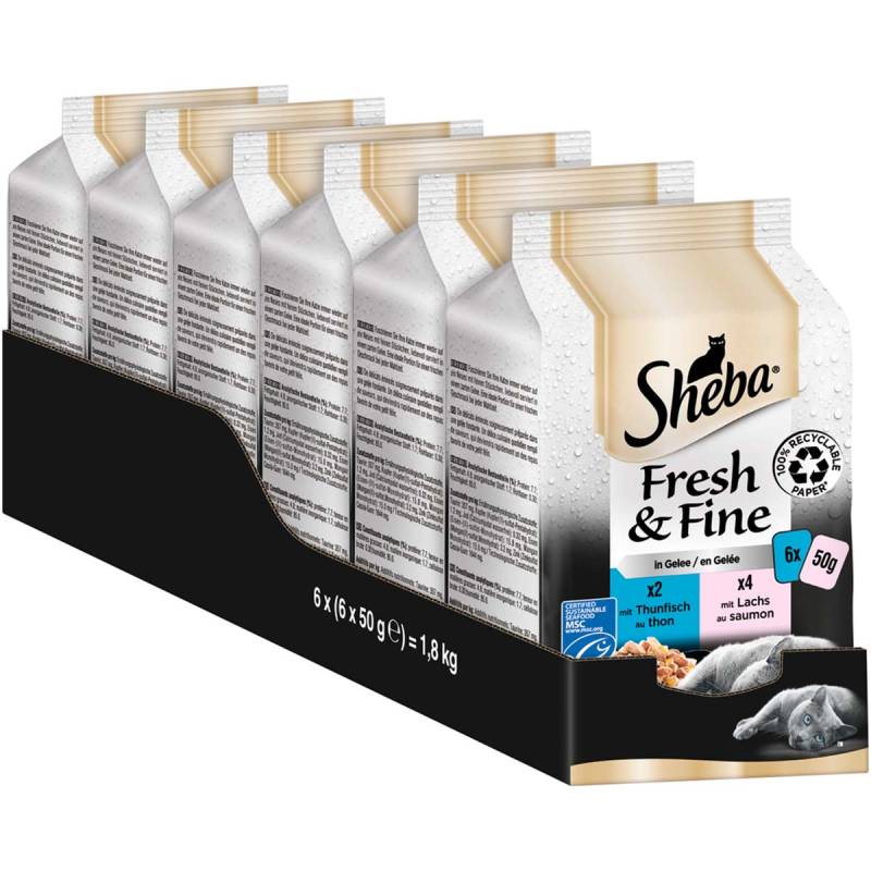 Sheba Fresh & Fine in Gelee mit Thunfisch & Lachs 36x50g von Sheba