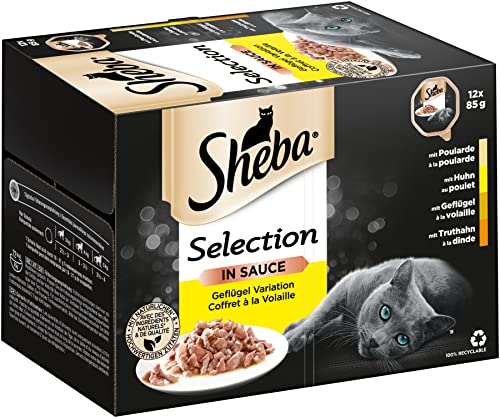 Sheba Katzennassfutter Selection in Sauce, 72 Schalen, 12x85g (6er Pack) – Katzenfutter nass, Geflügel Variation mit Poularde, Huhn, Geflügel und Truthahn in Sauce für ausgewachsene Katzen von Sheba