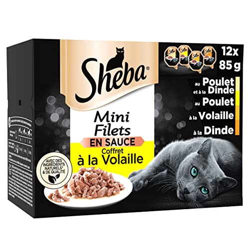 Sheba Mini Filets – Schalen für Erwachsene Katzen, Geflügel in Sauce, 6 x 12 x 85 g (Verpackung kann variieren) von Sheba