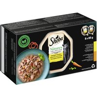 Sheba Multipack Nature's Collection in Sauce 8x85g Geflügel Auswahl von Sheba