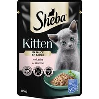 Sheba Kitten in Sauce 28x85 g Lachs von Sheba