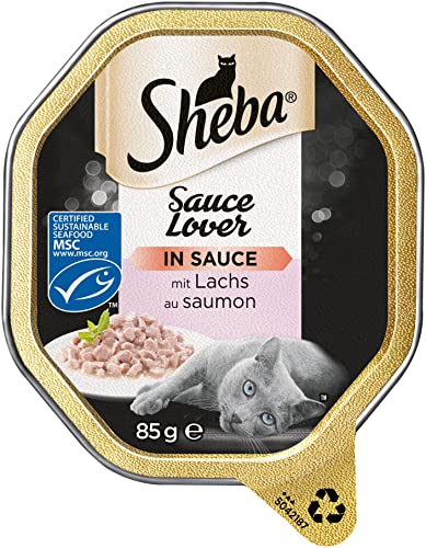 Sheba Sauce Lover – Feine Lachshäppchen (MSC) mit Sauce für ausgewachsene Katzen – 22 x 85g Katzennahrung in der Schale von Sheba