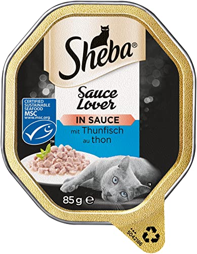 Sheba Sauce Lover – Feine Thunfischhäppchen (MSC) mit Sauce für ausgewachsene Katzen – 22 x 85g Katzennahrung in der Schale von Sheba