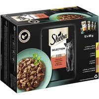 Sheba Selection in Sauce 12x85g Herzhafte Komposition von Sheba