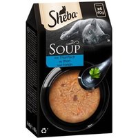 Sheba Soup 40x40g Thunfischfilet von Sheba