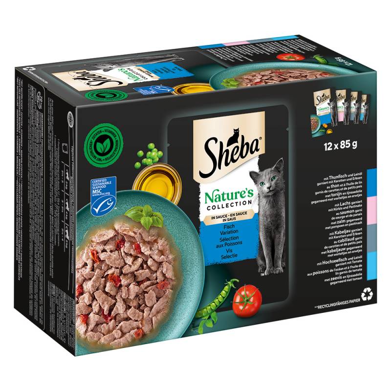 Sparpaket Sheba Nature's Collection in Sauce 144 x 85 g - Fisch Variation (Thunfisch, Lachs, Kabeljau, Hochseefisch) von Sheba