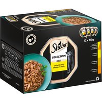 Sparpaket Sheba Varietäten Schälchen 48 x 85 g - Selection in Sauce von Sheba