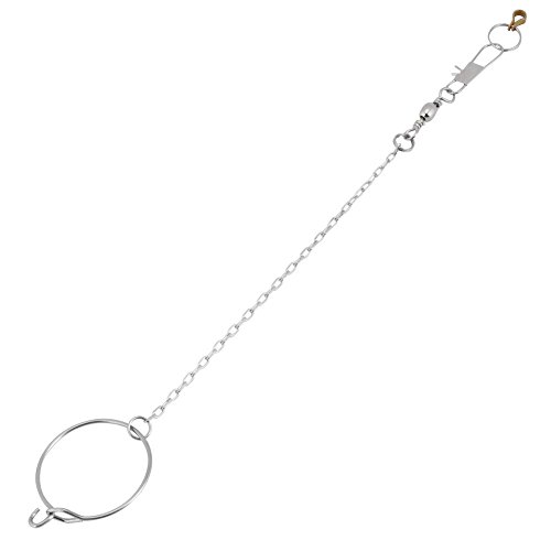 Sheens Edelstahl Vogel Fuß Ständer Kette mit Ring Pet Papageien Vögel Fußkettchen Fußkette für Verschiedene Arten und Größen von Papageien(3,5 mm) von Sheens