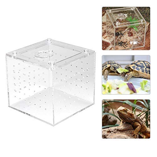 Transparente Reptilienbox Acryl Insekten-Sichtbox Aufzuchtbehälter Behälter für Spinnen-Vogelspinnen Geckos Grillen Schnecken Einsiedlerkrebse 3.9x3.9x3.5inch von Sheens