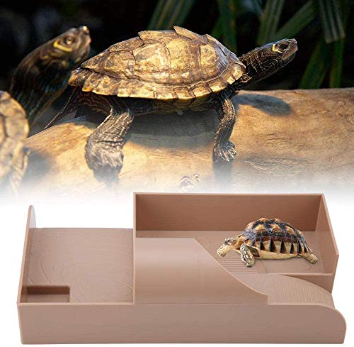 Turtle Basking Platform, Reptile Climbing Schwimmende Insel Trocknungsplattform mit Ladder Shelter House Tunnel für Aquarium Fish Turtle Tank von Sheens