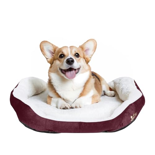 ShellKingdom Mittelgroßes Hundebett, waschbares Haustierbett, rechteckig, wärmendes Hundebett für Hunde bis zu 15,9 kg, 60 x 50 cm, Weinrot von ShellKingdom