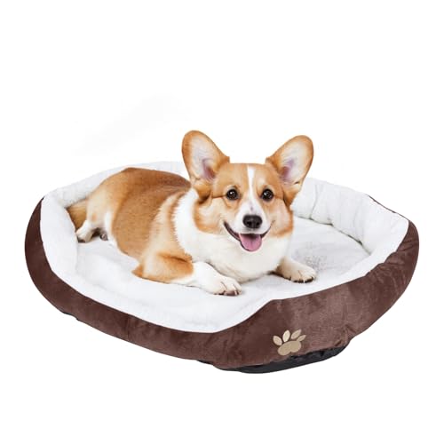 ShellKingdom Mittelgroßes Hundebett, waschbares Haustierbett, rechteckig, wärmendes Hundebett für Hunde bis zu 15,9 kg, 60 x 50 cm (Kaffee) von ShellKingdom