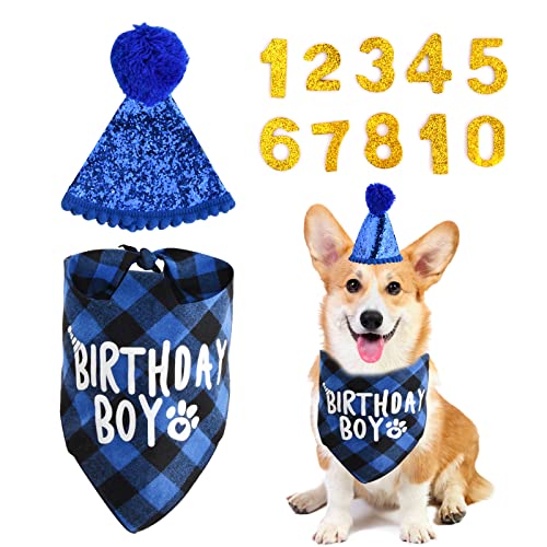 Shengxi Hunde Geburtstag Hut Bandana Set, Blau Geburtstag Hund Halstuch Kopftücher Hut mit 10 Bling Zahlen Nummer Gold, Geburtstag Party Dekoration für Haustier Hund Katze von Shengxi